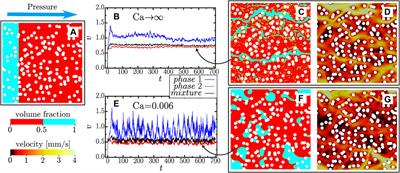 Bubble Dynamics in Stationary Two-phase Flow Through Disordered Porous Media